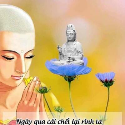 Phật Pháp Vấn Đáp: Nên Xử Lý Như Thế Nào Đối Với Những Kinh Sách Hay Các Ấn Phẩm Báo Chí Phật Giáo?